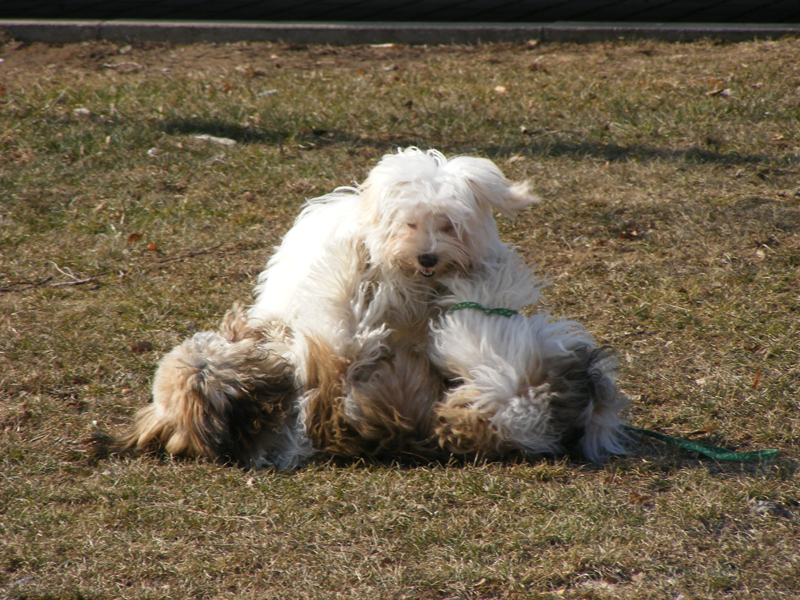 DSCF0247