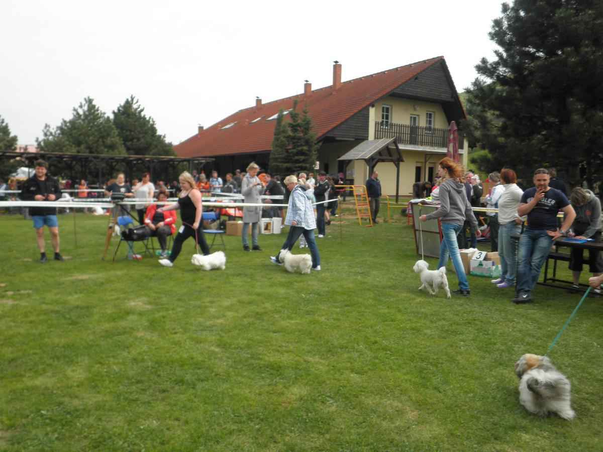Voriskiada_hranice_2011_18_